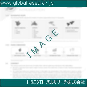 グローバルリサーチ調査資料のイメージ
